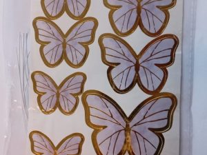 WhatsApp Image 2025-06-10 at 12