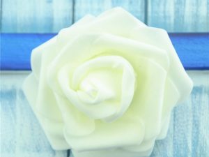 WhatsApp Image 2025-03-07 at 14