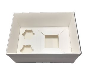 Bento box 2 cupcake