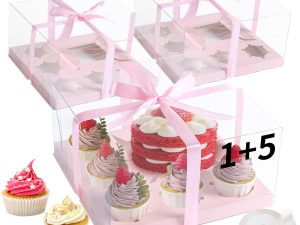 Bento clear box pink